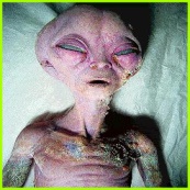 real alien pic